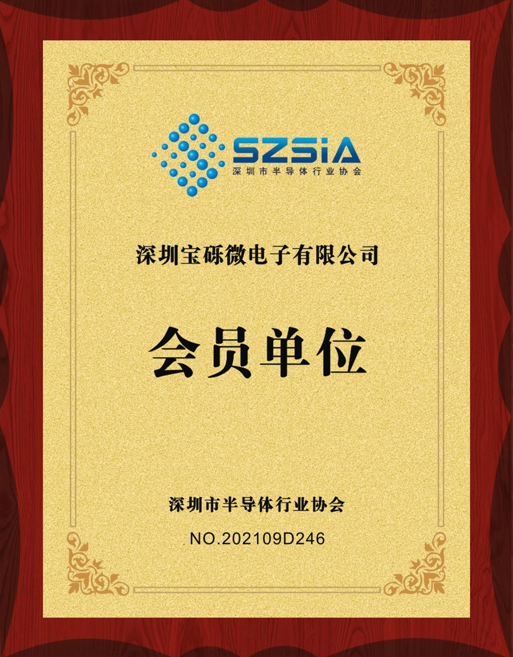 深圳市半导体行业协会会员单位